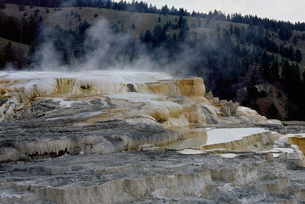 20000801   Yellowstone 083